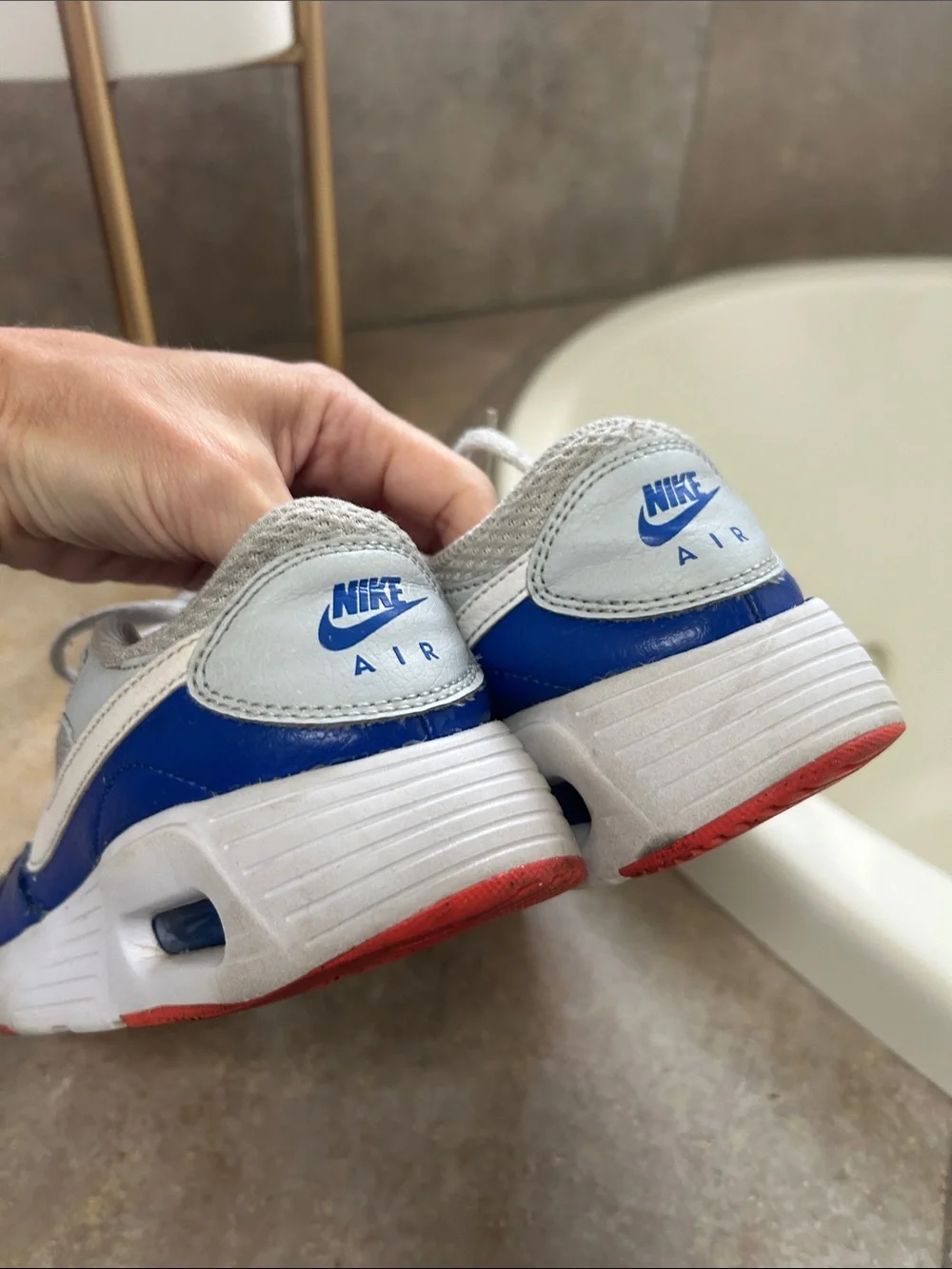 Nike Air Max sneakers